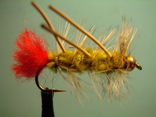 Rubber Olive Bead Head Woolly Worm (8)